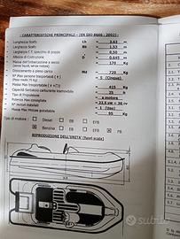 Tender custom Sue Marine 4 tempi Honda