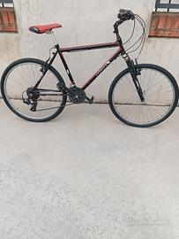 Biciletta