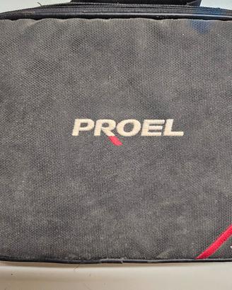sistema wireless proel