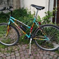 MTB da 26 - cambio Shimano