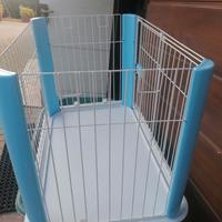 recinto per cani 