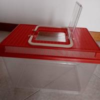 acquario plastica per pesci o tartarughe