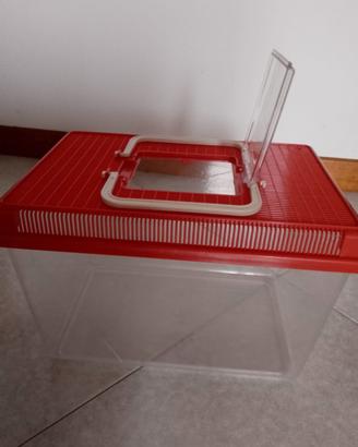 acquario plastica per pesci o tartarughe