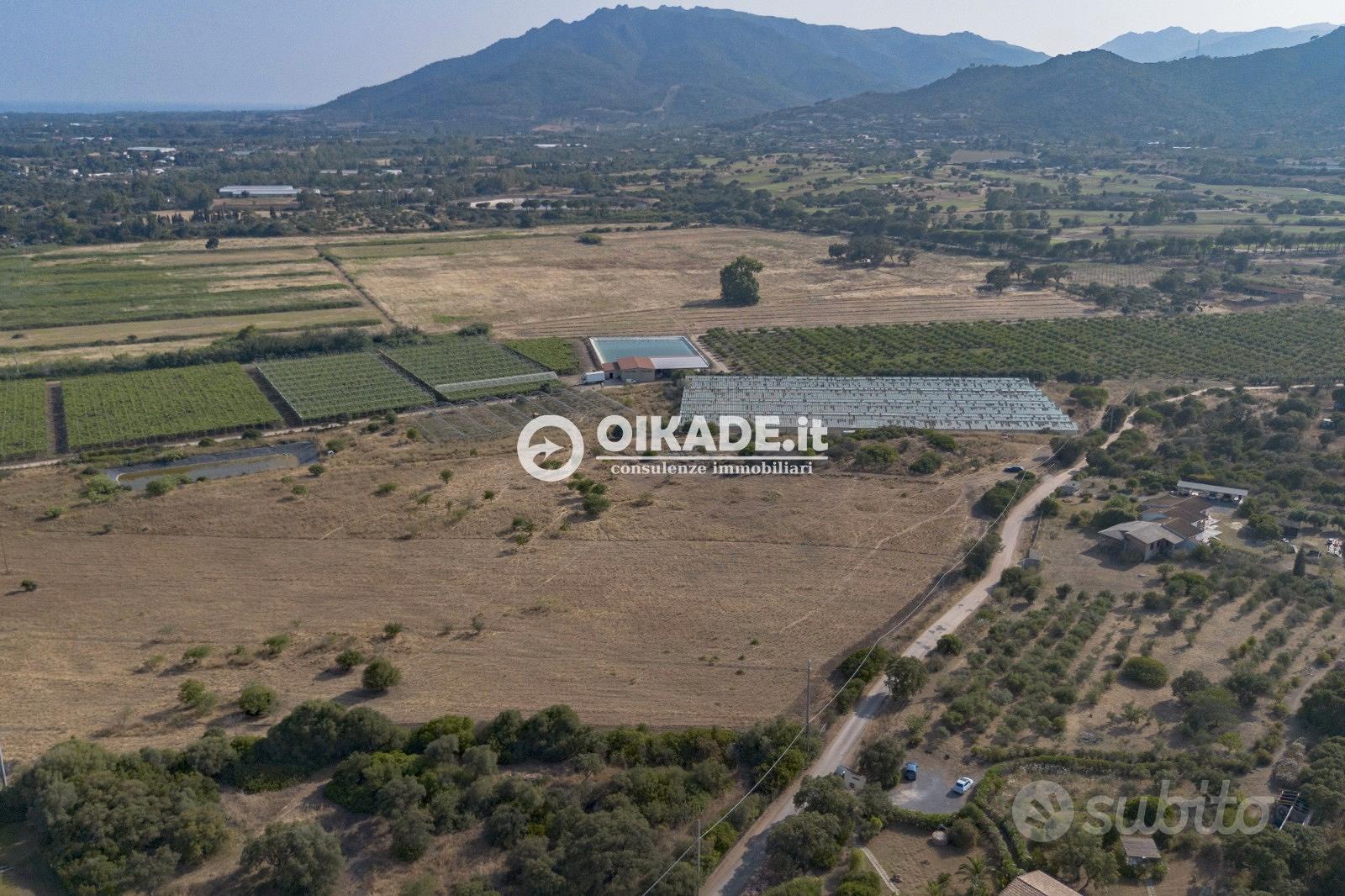 Pula "Loc. Fra Millano" - Terreno agricolo - Vista 3