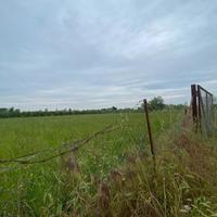 TERRENO Agricolo 3.000,00Mt - Rif T5