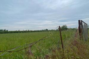 TERRENO Agricolo 3.000,00Mt - Rif T5