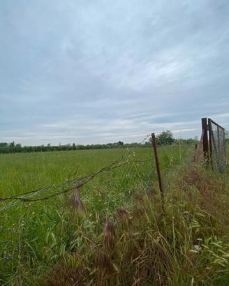 TERRENO Agricolo 3.000,00Mt - Rif T5