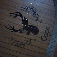 Lira strumento musicale 16 corde