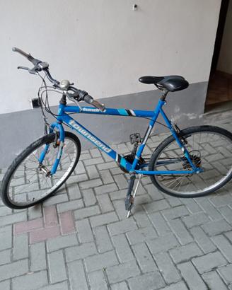 bicicleta 