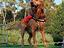 Immagine 3