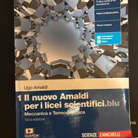 NUOVO AMALDI PER LICEI SCIENTIFICI BLU VOL1