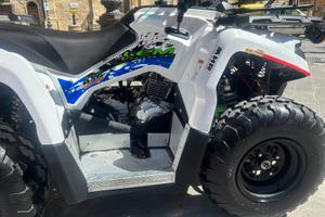 Lem Altro modello - 2022