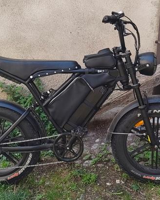 bicicletta elettrica