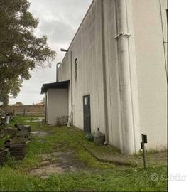 Immobile in asta di 942 m² con più di 5 locali a L