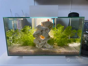Acquario 23 litri askoll edge