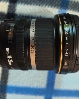 Canon 10-22 apsc