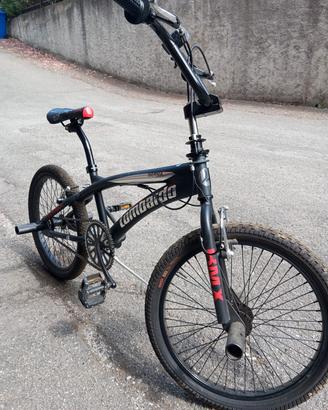 BMX Lombardo Isernia 