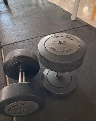 manubri technogym 