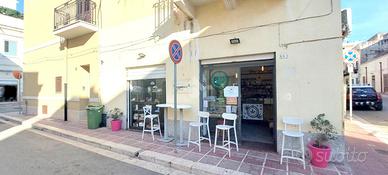 ATTIVITÀ A TERRASINI