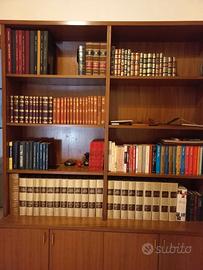 Mobile libreria