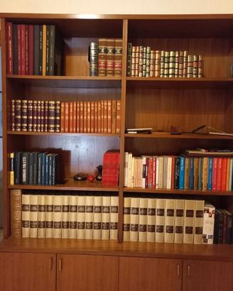 Mobile libreria
