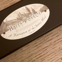 Bacchetta Harry Potter presa a King’s Cross