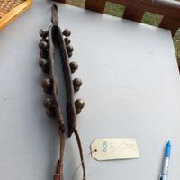 Sonagli montati su collare