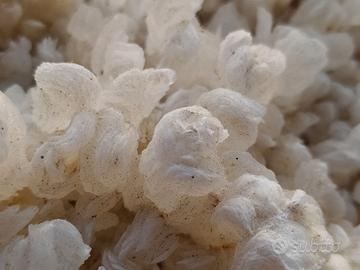 Calcite