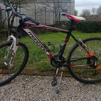 Mountain bike misura 26