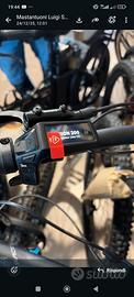 bicicletta elettrica 