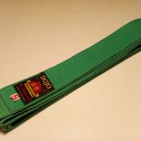 Cintura Judo verde usata