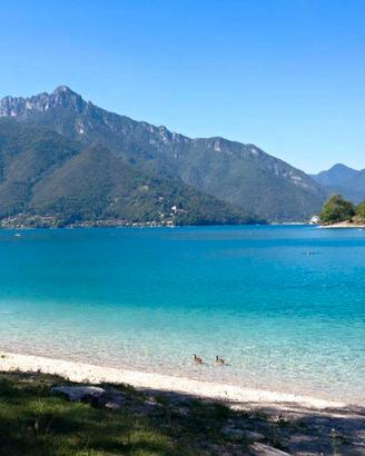 Ledro ampio appartamento 18-25 luglio max 5 pl