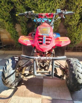 mini quad 110cc
