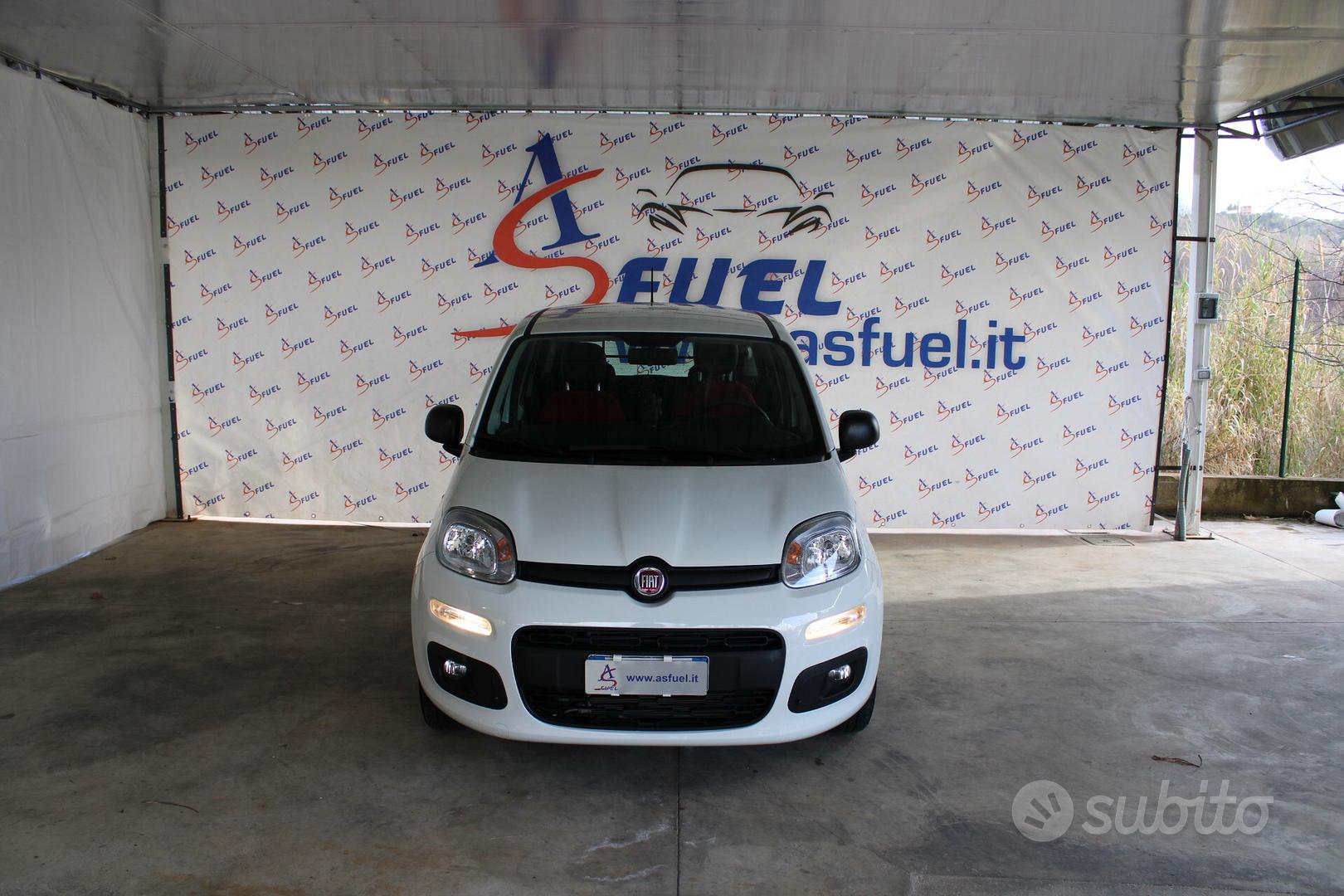 Subito - ASFUEL SRL - Fiat Panda 1.0 FireFly S&S Hybrid Easy VAN ...