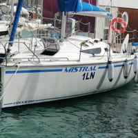 Performance fast cruiser del 2024