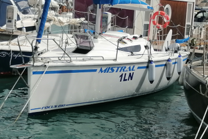 Performance fast cruiser del 2024