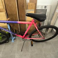 Mountain bike in alluminio