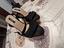 Immagine 4