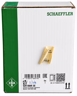Kit Cinghia Servizi INA 529 0009 20 Renault Dacia 