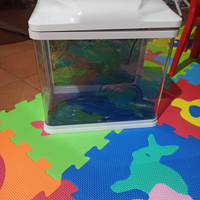 Acquario a cubo