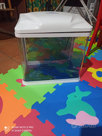 Acquario a cubo