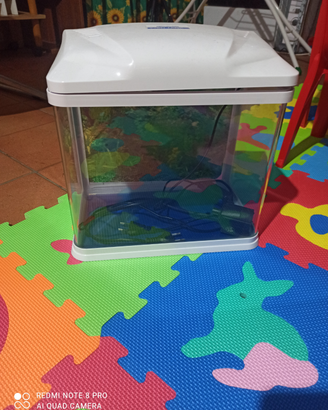 Acquario a cubo