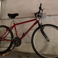 bicicletta CARRARO