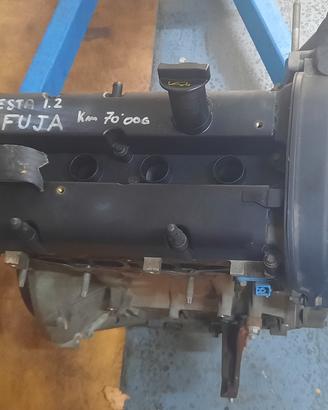 Motore Fiesta 1.2 16 v. sigla Fuja 