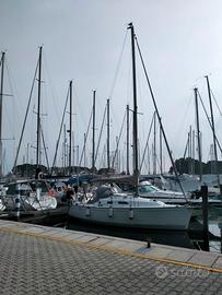 Barca a Vela Delphia 29 del 2007