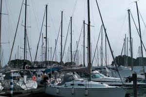 Barca a Vela Delphia 29 del 2007