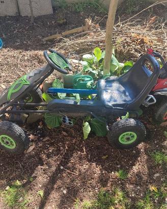 quad a pedali 