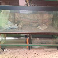 ACQUARIO 600 litri