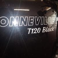 Triumph Bonnie T120 Black pochi kilometri pronta