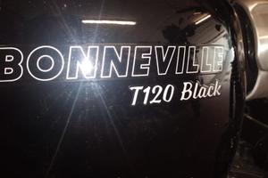 Triumph Bonnie T120 Black pochi kilometri pronta